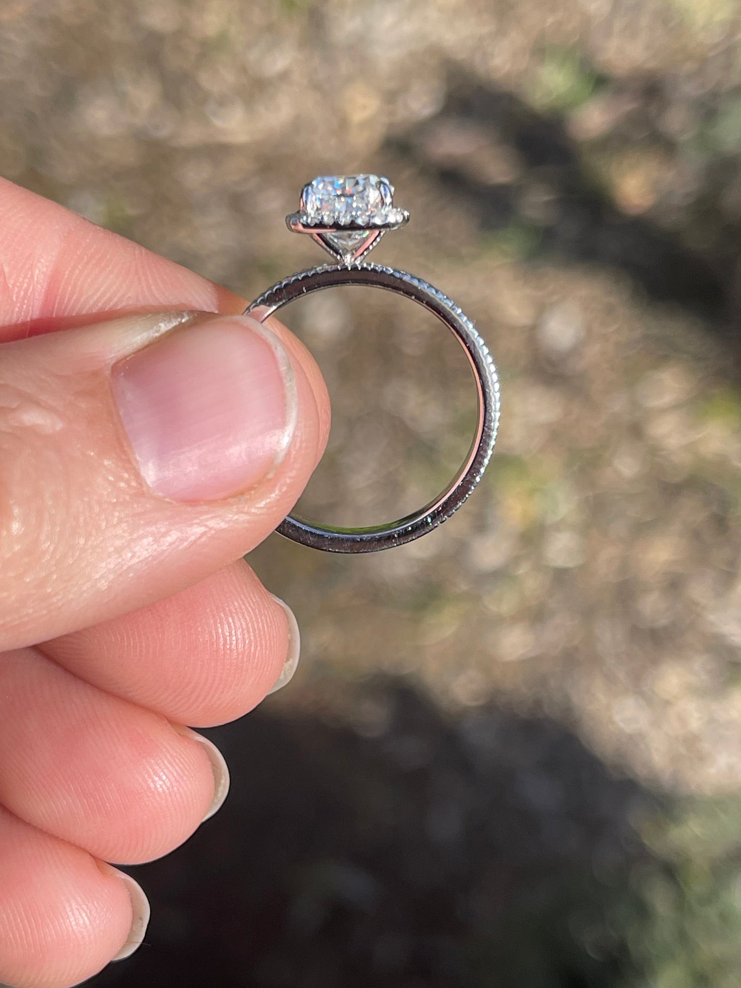 Skylar 6US 10K Rose Gold Engagement Ring