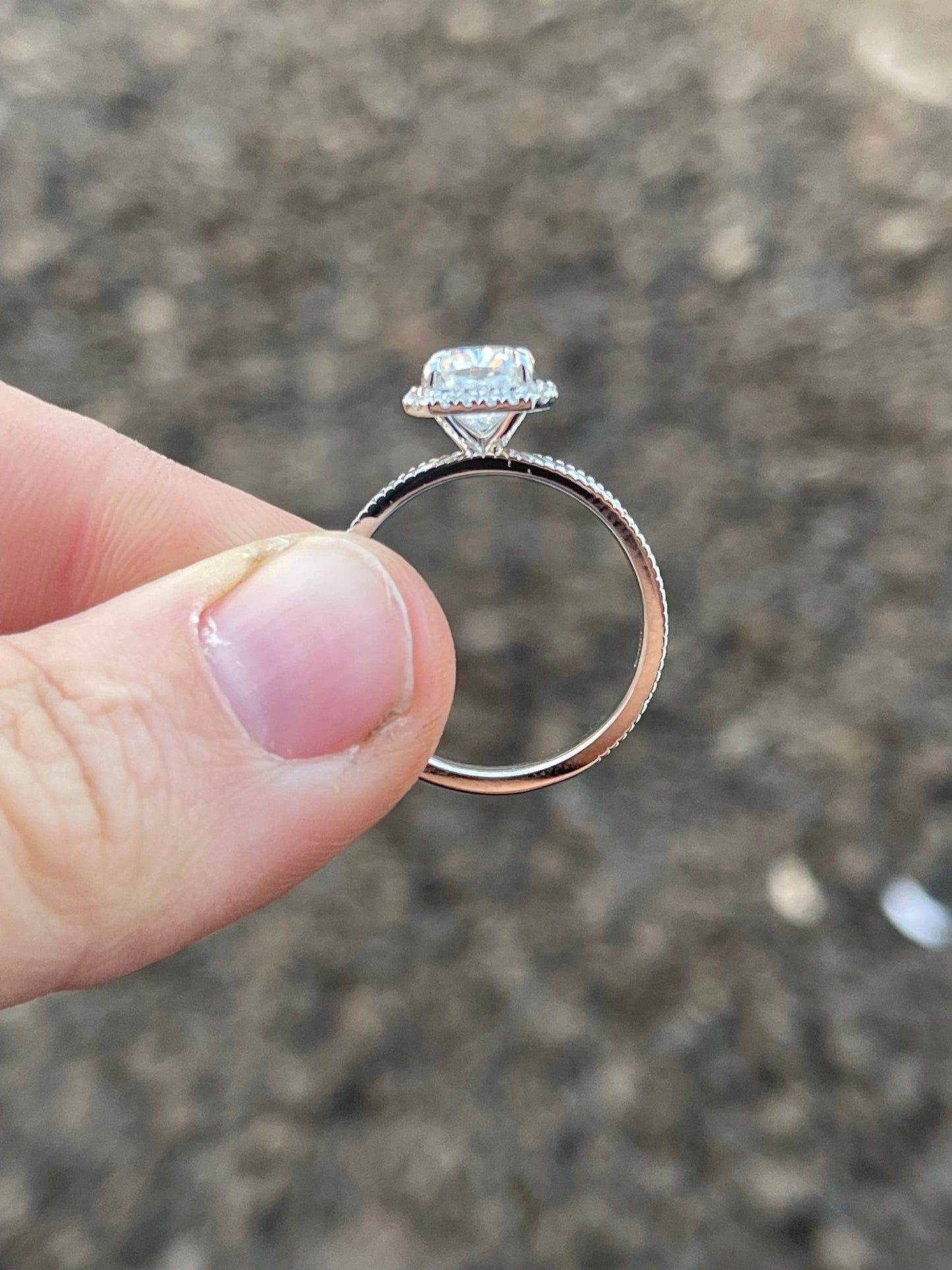 Sophia 6.5US 10K White Gold Engagement Ring