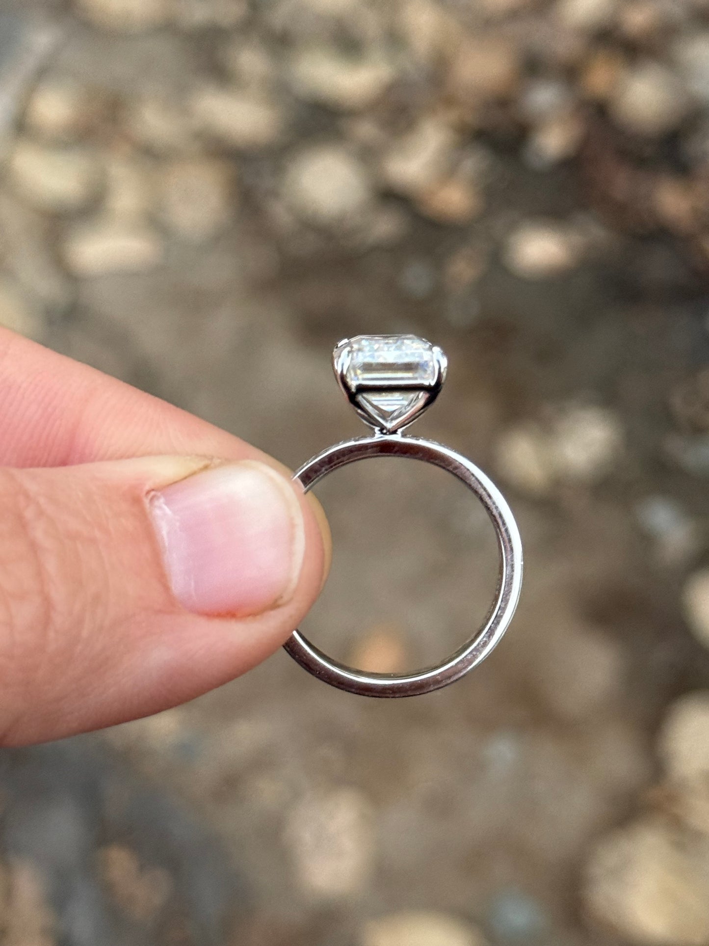 Taylee 5ct Engagement Ring Engagement Rings Tines Ranch Co