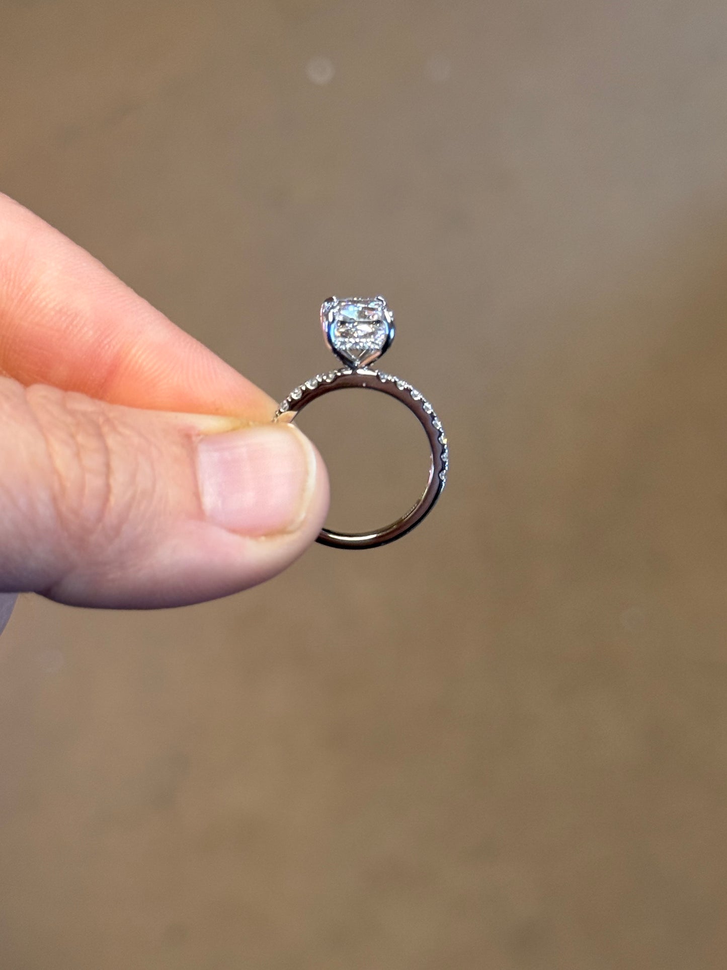 Kodi Hidden Halo 6US 14K White Gold DIAMOND Engagement Ring Engagement Rings Tines Ranch Co