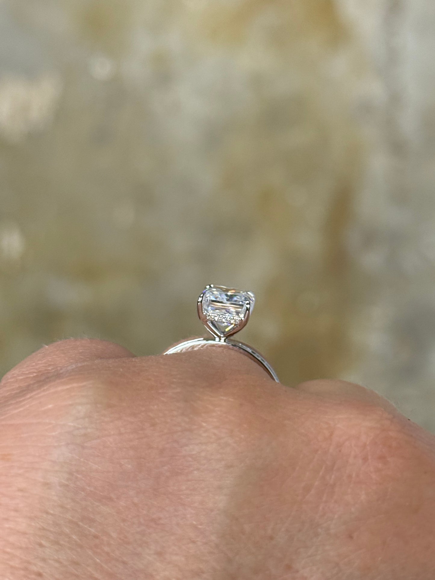 Brooks 4ct Hidden Halo Engagement Ring