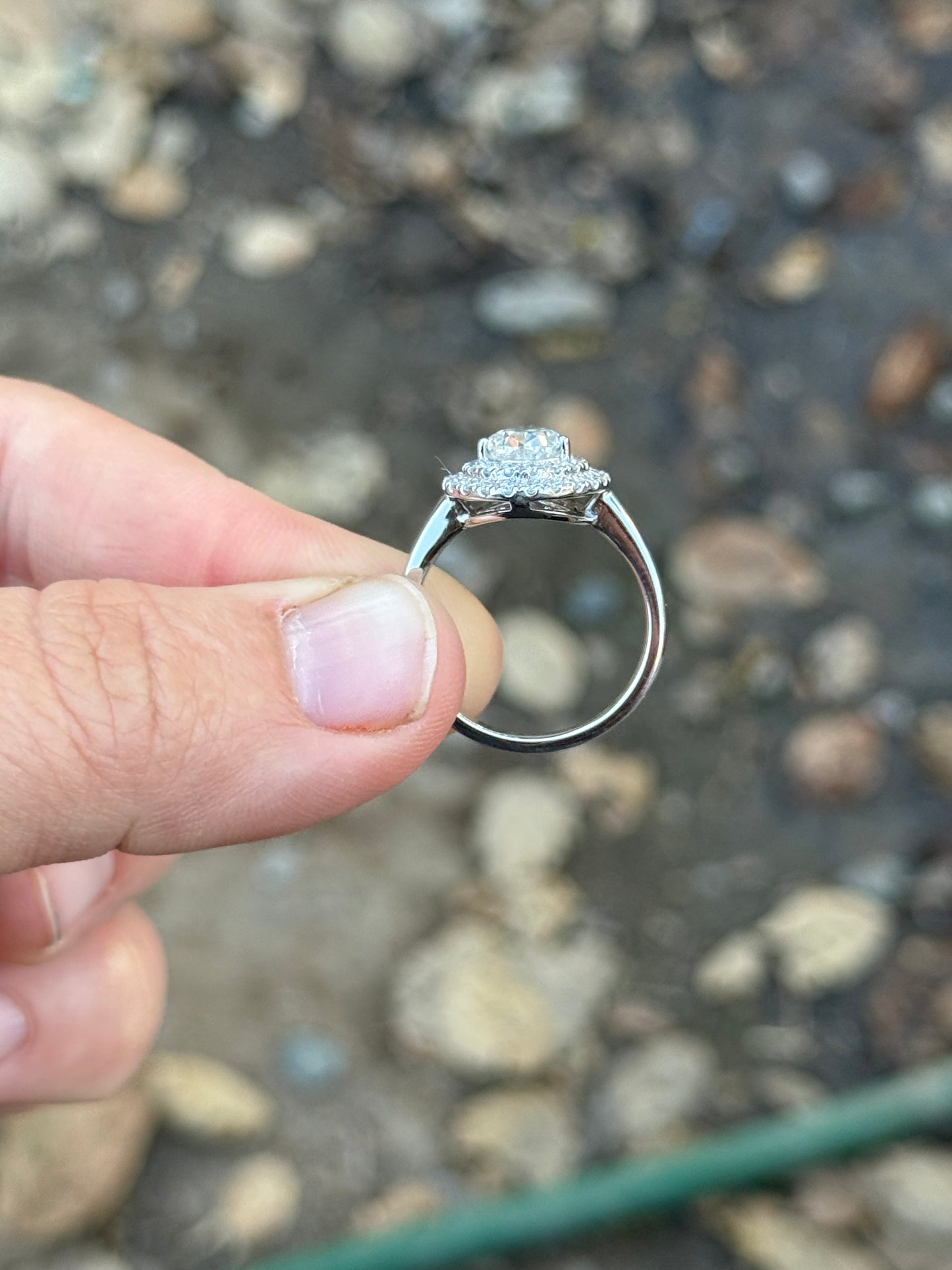 Andie Sterling Silver Engagement Ring Engagement Rings Tines Ranch Co